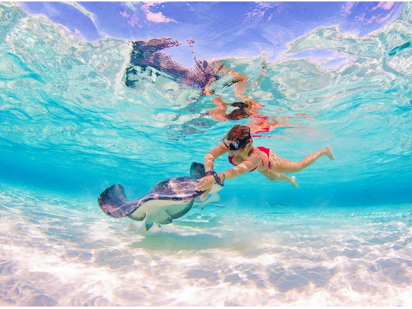 Underwater view of two swimmers and a stingray over a sandy bottom in clear water